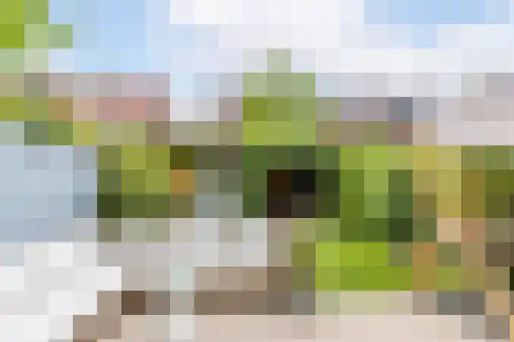 Lijsterbeslaan 94 Rotterdam thumbnail 23