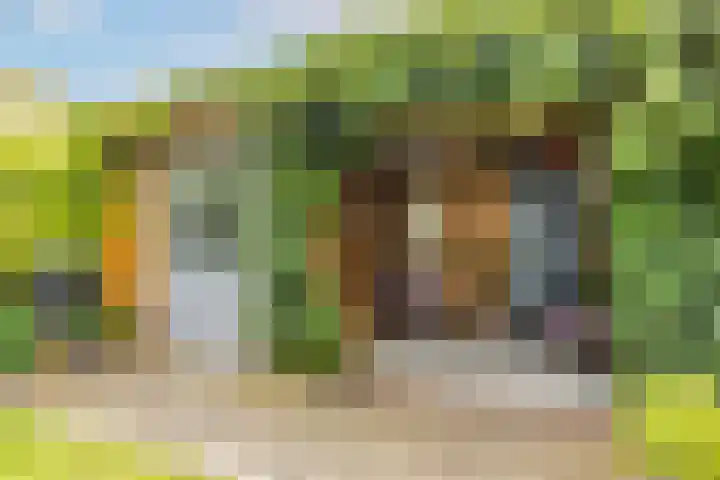 Lijsterbeslaan 94 Rotterdam thumbnail 24
