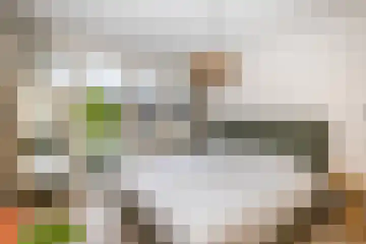 Lijsterbeslaan 94 Rotterdam thumbnail 31