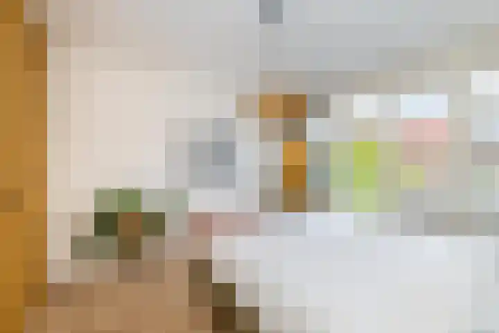 Lijsterbeslaan 94 Rotterdam thumbnail 32