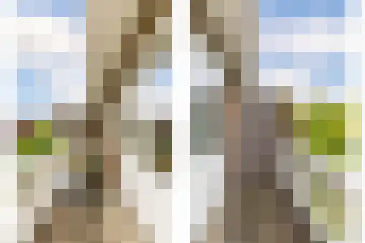 Lijsterbeslaan 94 Rotterdam thumbnail 33