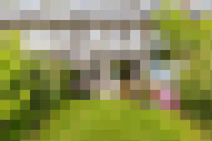 Lijsterbeslaan 94 Rotterdam thumbnail 34