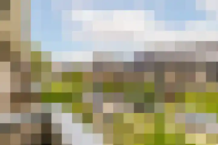 Lijsterbeslaan 94 Rotterdam thumbnail 36