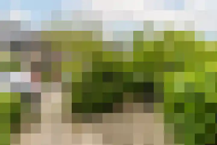 Lijsterbeslaan 94 Rotterdam thumbnail 50