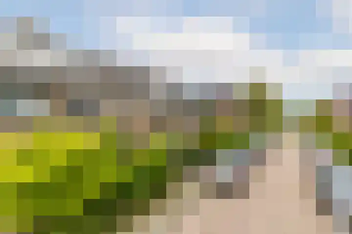 Lijsterbeslaan 94 Rotterdam thumbnail 51