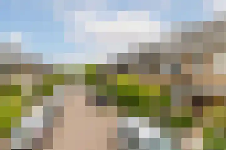 Lijsterbeslaan 94 Rotterdam thumbnail 53