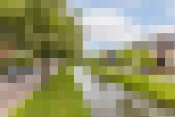 Lijsterbeslaan 94 Rotterdam thumbnail 54