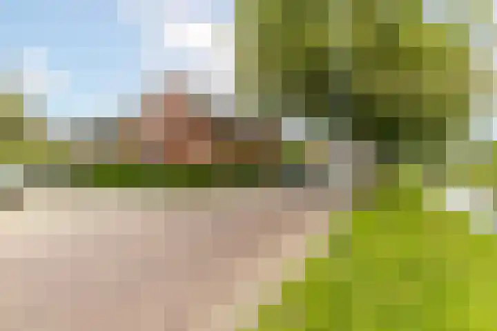Lijsterbeslaan 94 Rotterdam thumbnail 55