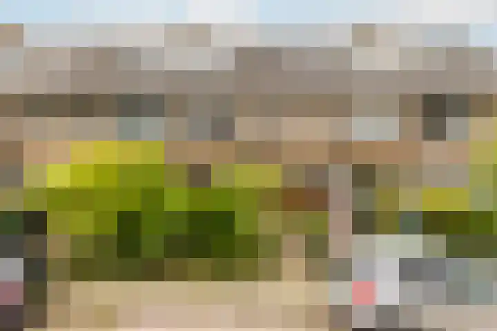 Lijsterbeslaan 94 Rotterdam thumbnail 6