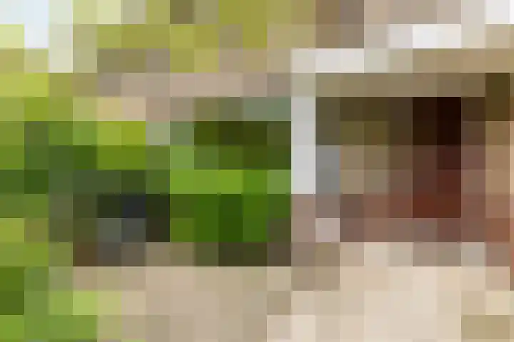 Lijsterbeslaan 94 Rotterdam thumbnail 7