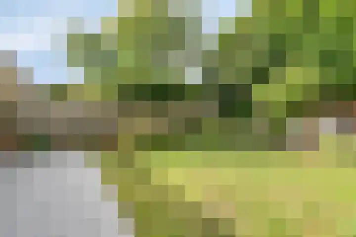 Lijsterbeslaan 96 Valkenswaard thumbnail 17