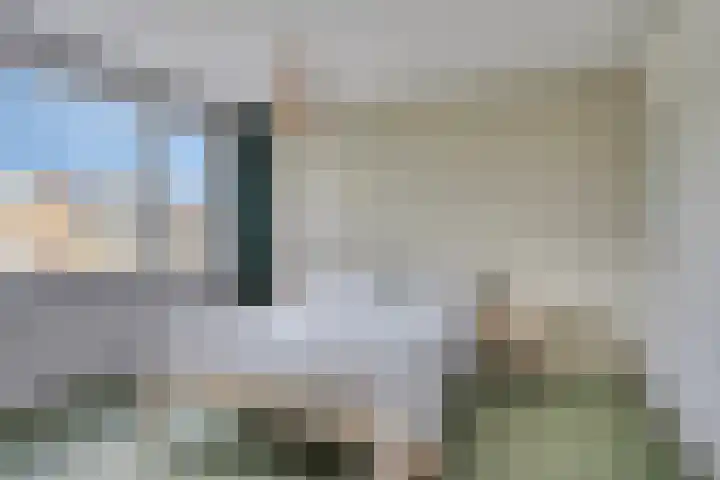Lijsterbeslaan 96 Valkenswaard thumbnail 19