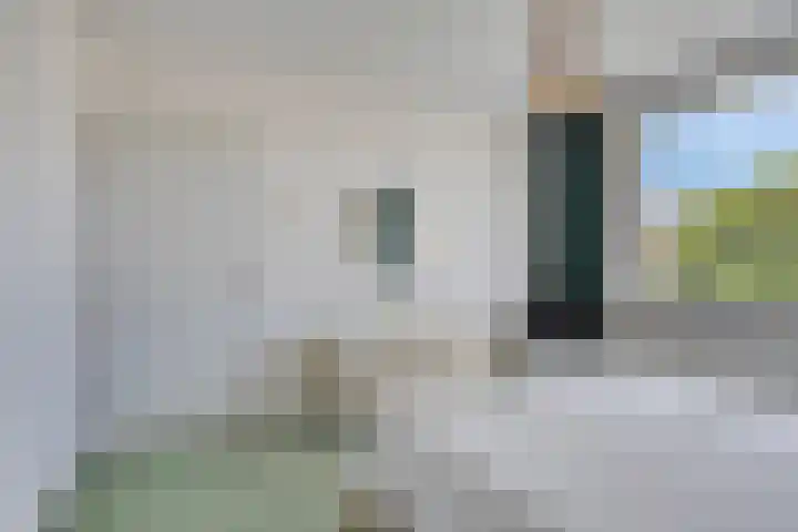 Lijsterbeslaan 96 Valkenswaard thumbnail 20