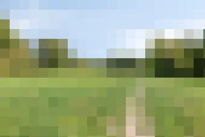 Lijsterbeslaan 96 Valkenswaard thumbnail 29