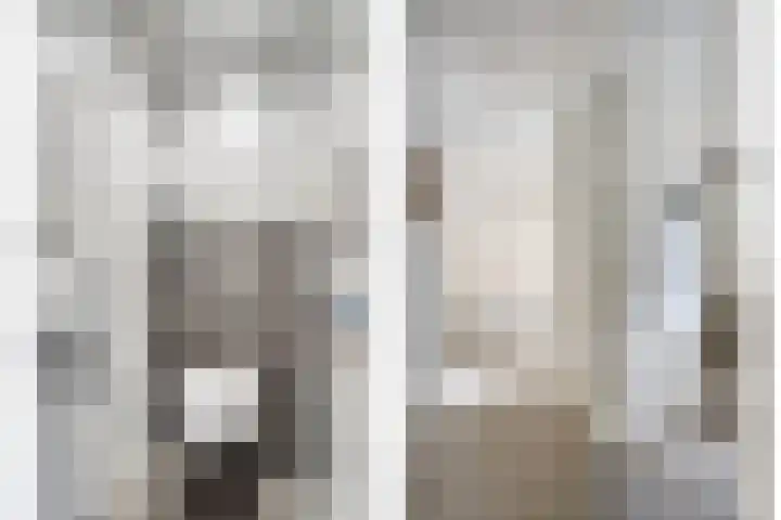 Lijsterbeslaan 96 Valkenswaard thumbnail 7
