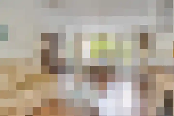 Lijsterbeslaan 96 Valkenswaard thumbnail 9