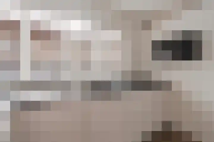 Lijsterbesoord 10 Diemen thumbnail 21