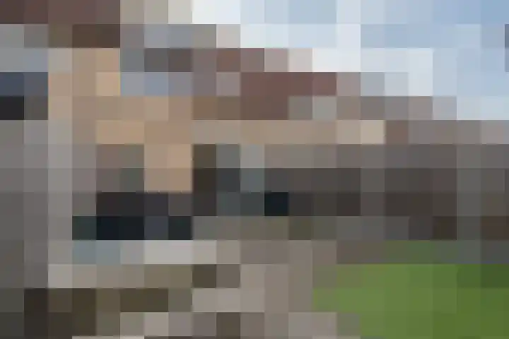 Lijsterbesoord 10 Diemen foto 3