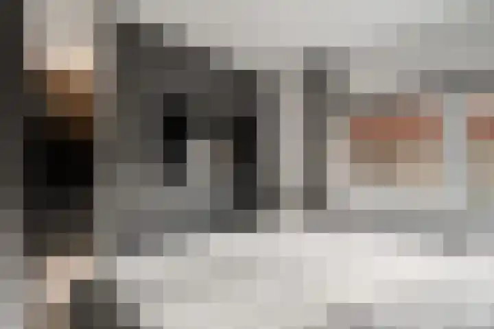 Lijsterbesoord 10 Diemen thumbnail 42