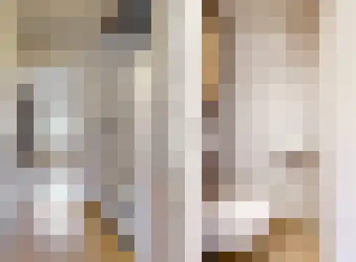Lijsterbesoord 25 Diemen thumbnail 19