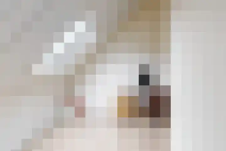 Lijsterbesoord 25 Diemen thumbnail 27