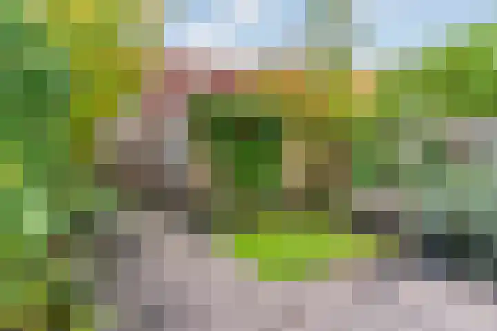 Lijsterbesoord 25 Diemen thumbnail 29