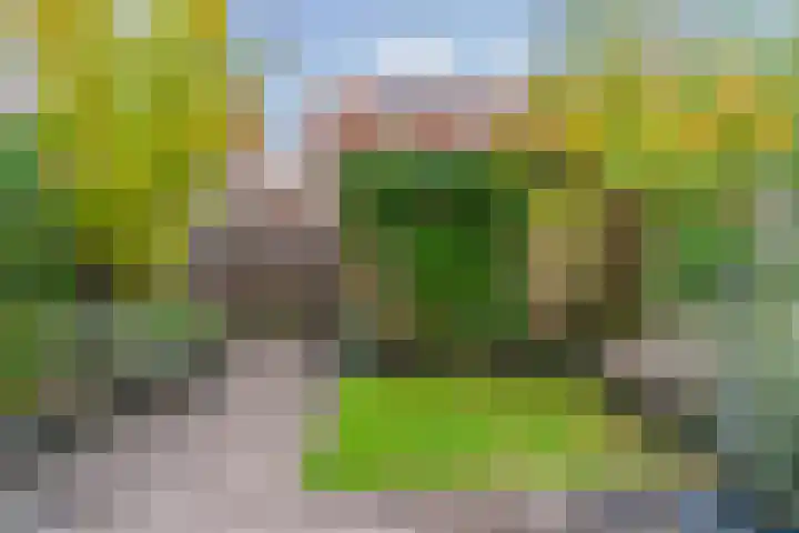 Lijsterbesoord 25 Diemen thumbnail 30