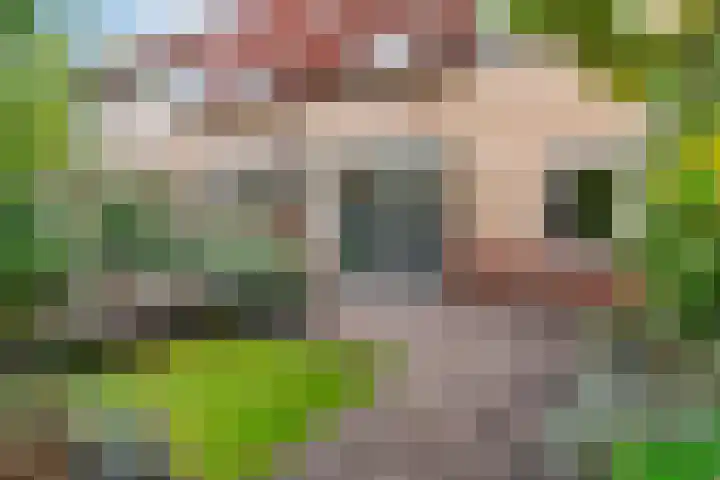 Lijsterbesoord 25 Diemen thumbnail 32