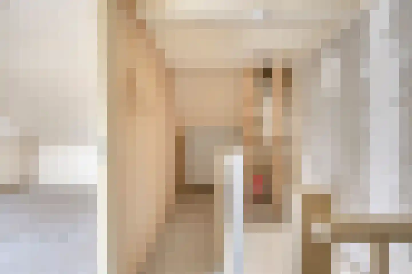 Lijsterbesoord 32 Diemen thumbnail 18
