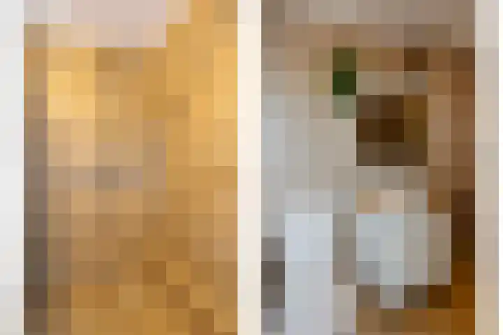 Lijsterbespad 25 Kessel thumbnail 23