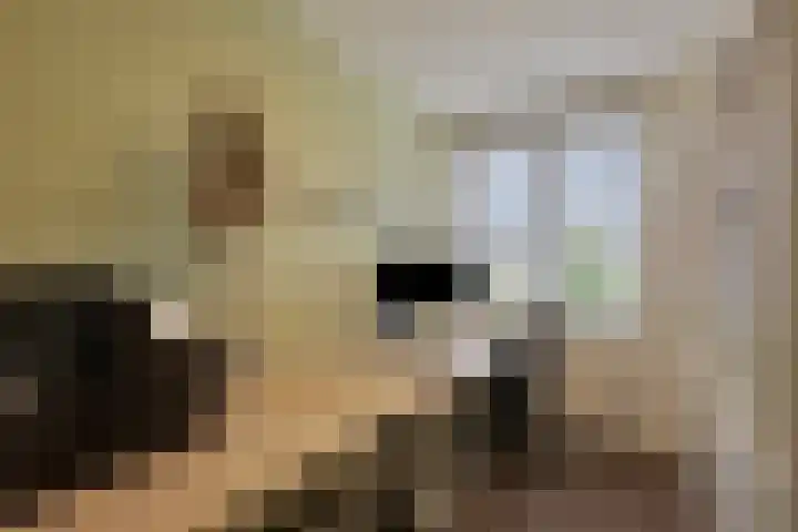 Lijsterbespad 25 Kessel thumbnail 25