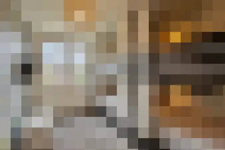 Lijsterbespad 25 Kessel thumbnail 28
