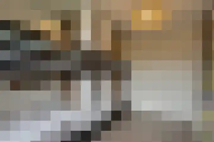 Lijsterbespad 25 Kessel thumbnail 29