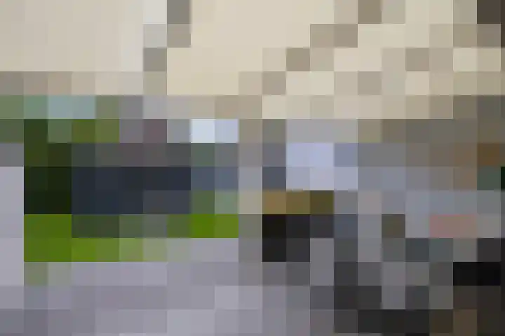 Lijsterbespad 25 Kessel thumbnail 31