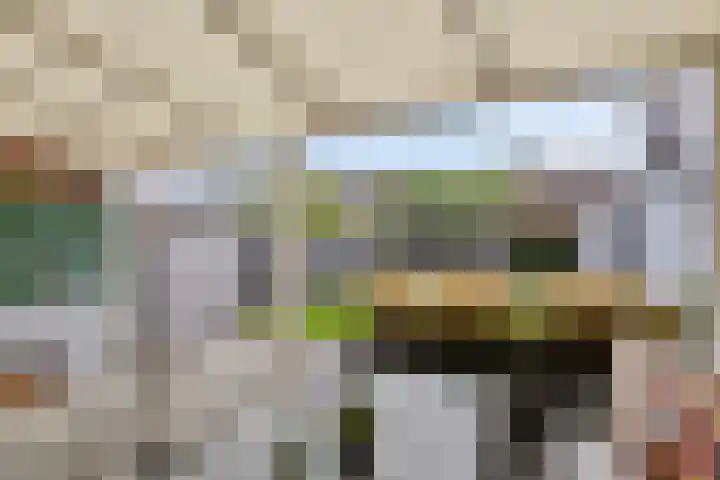 Lijsterbespad 25 Kessel thumbnail 32