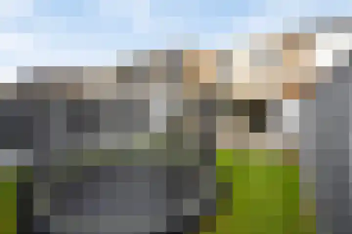 Lijsterbespad 25 Kessel thumbnail 34