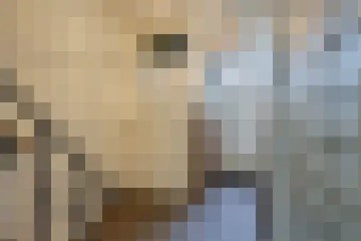 Lijsterbespad 25 Kessel thumbnail 5