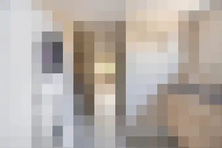 Lijsterbespad 27 Kessel thumbnail 17