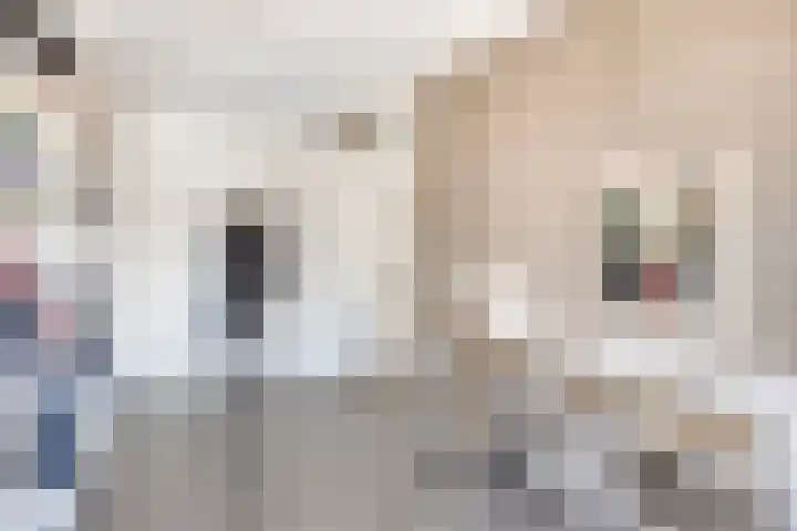 Lijsterbespad 27 Kessel thumbnail 27