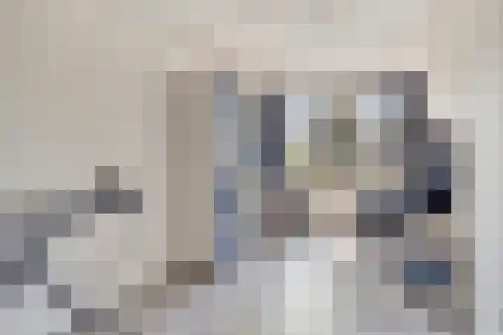 Lijsterbespad 27 Kessel thumbnail 28