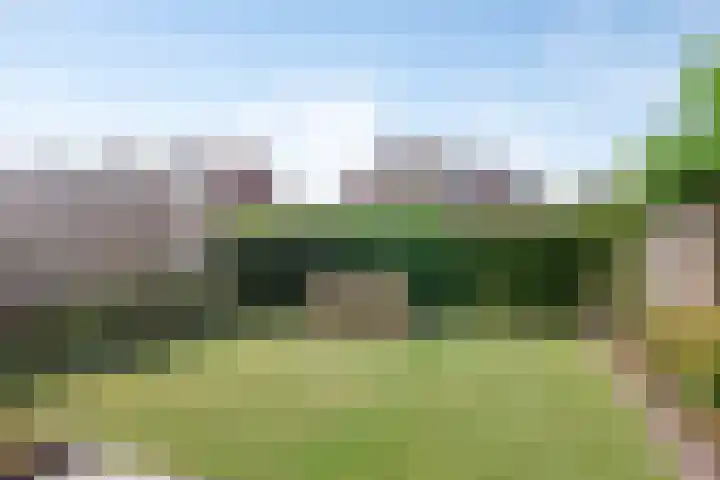 Lijsterbespad 27 Kessel thumbnail 32