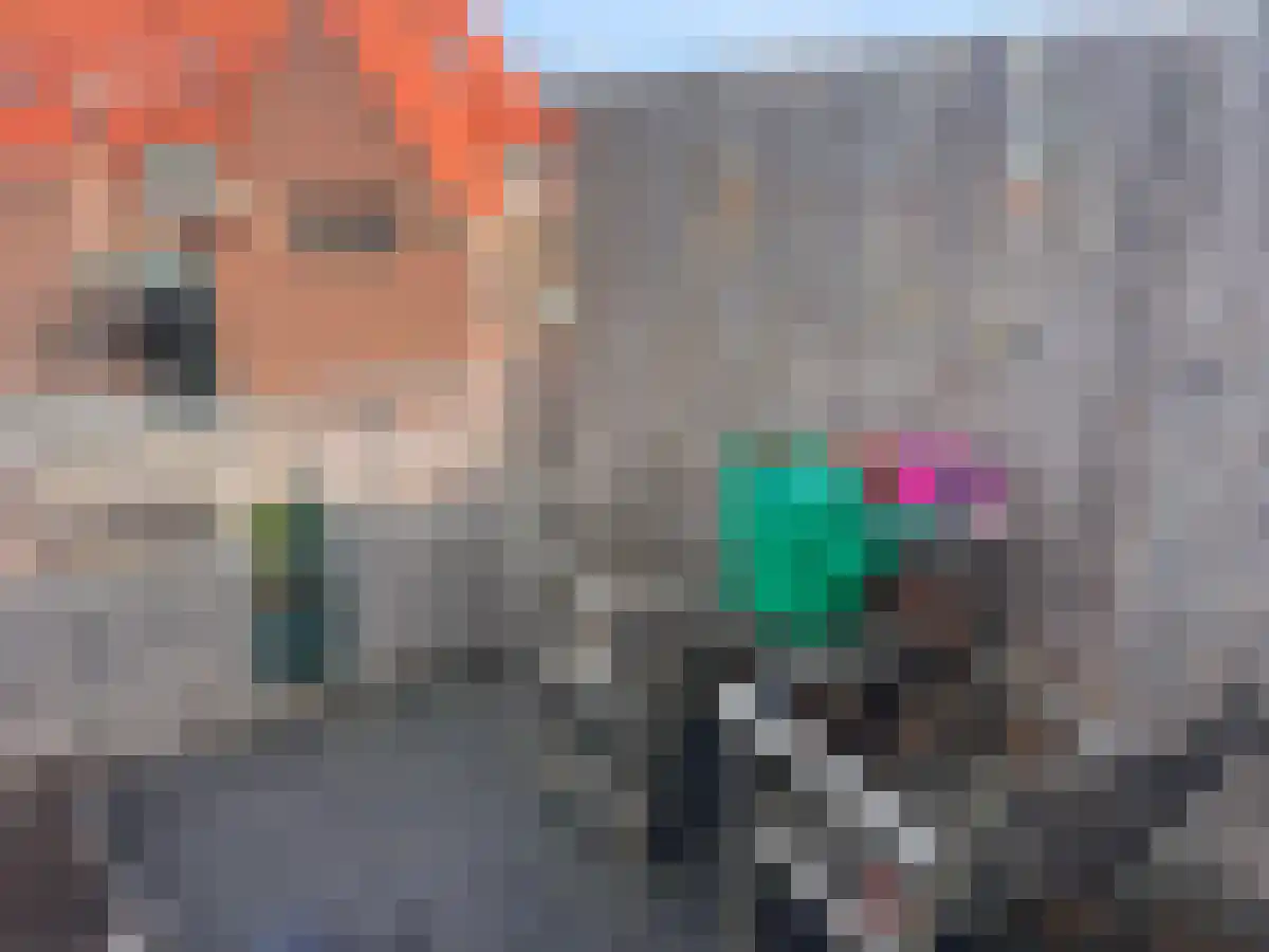 Lijsterbesplein 13 Den Haag thumbnail 6