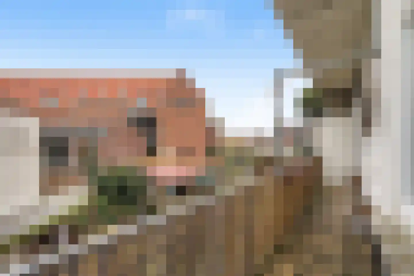 Lijsterbesplein 16 Den Haag thumbnail 15