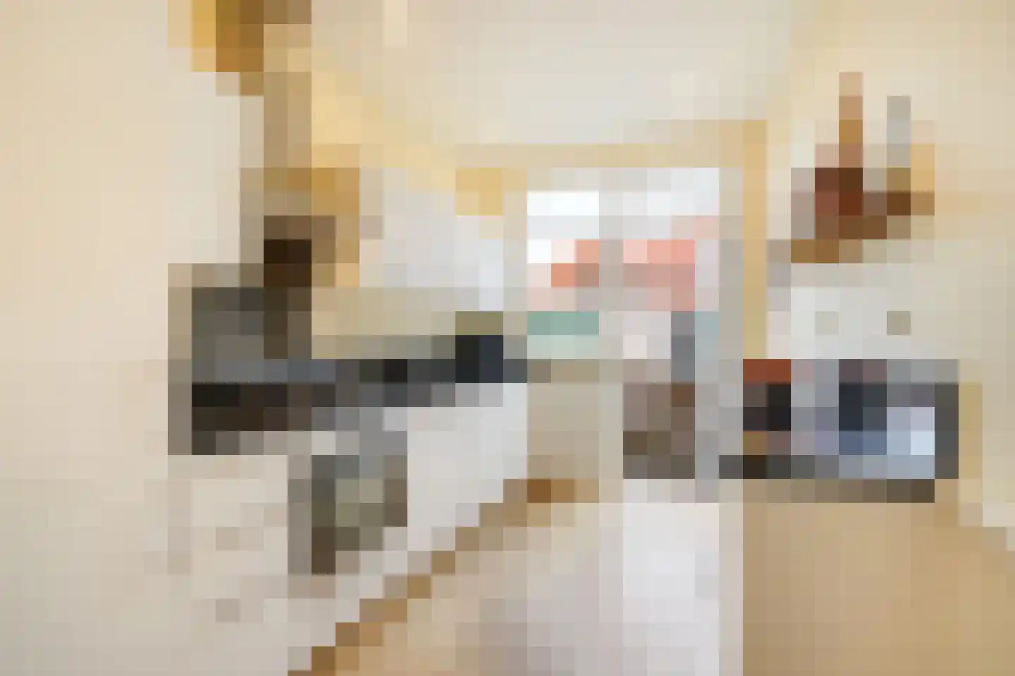 Lijsterbesplein 16 Den Haag thumbnail 17