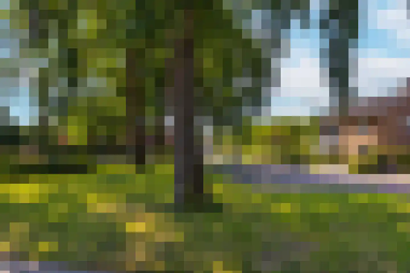 Lijsterbesstraat 1 Losser thumbnail 11