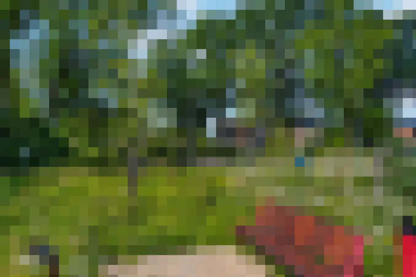 Lijsterbesstraat 1 Losser thumbnail 12