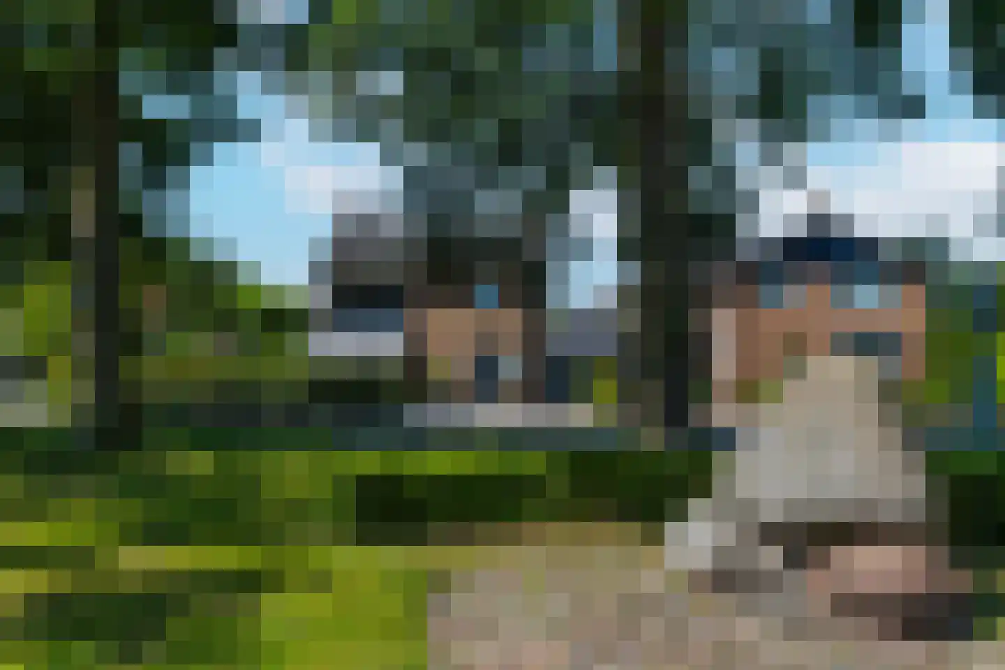 Lijsterbesstraat 1 Losser thumbnail 13