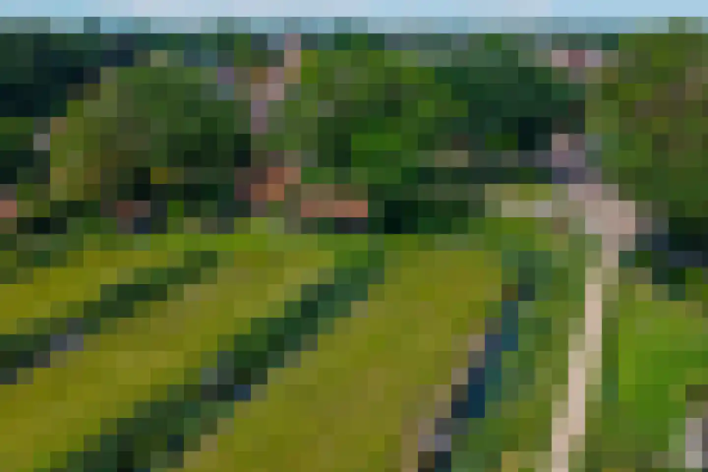 Lijsterbesstraat 1 Losser thumbnail 18