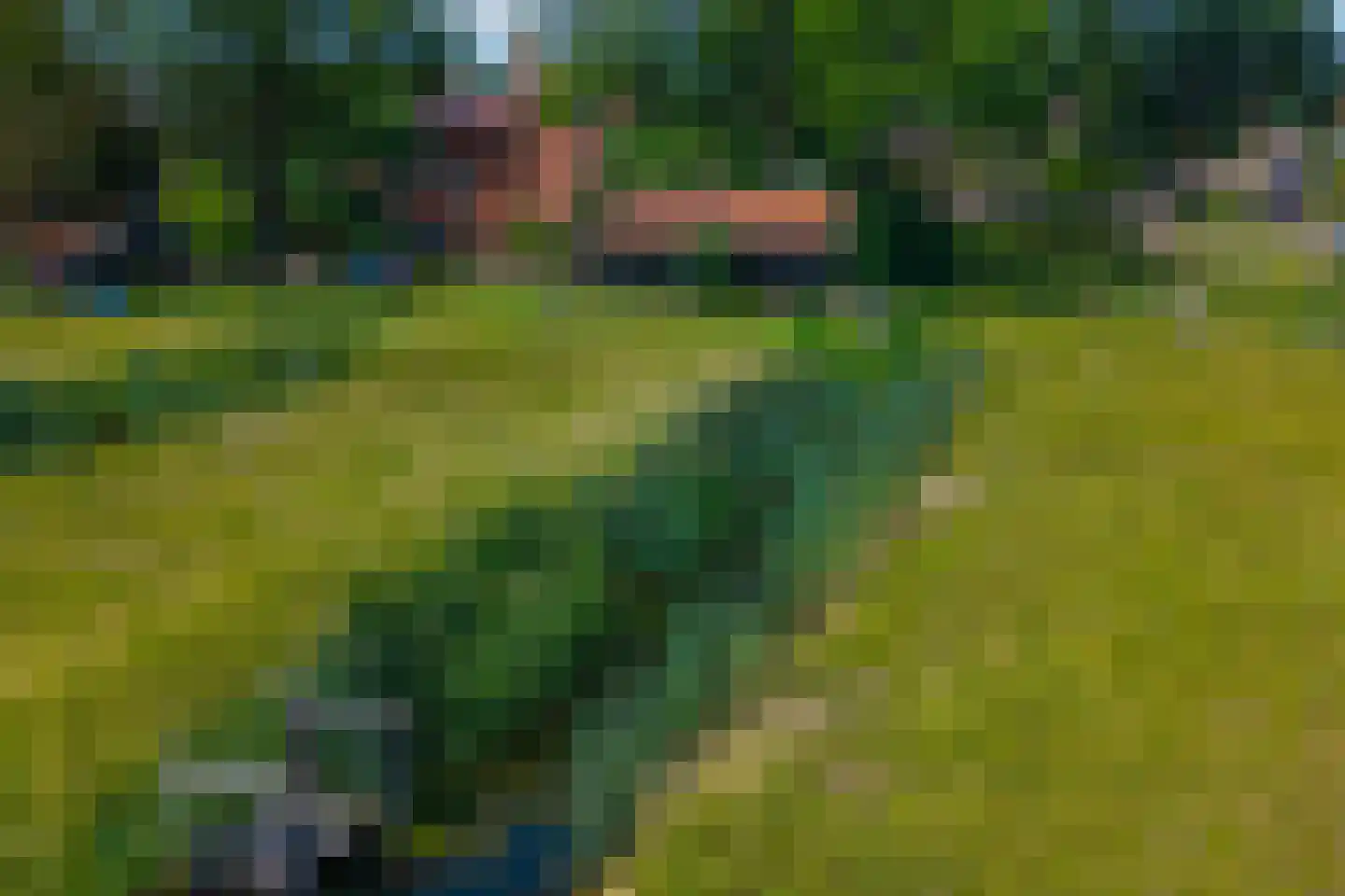 Lijsterbesstraat 1 Losser thumbnail 19