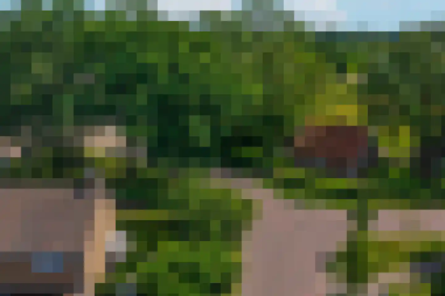 Lijsterbesstraat 1 Losser thumbnail 22